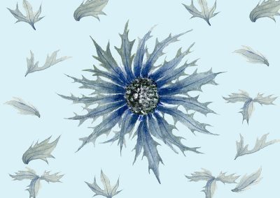 Les aventures du chardon